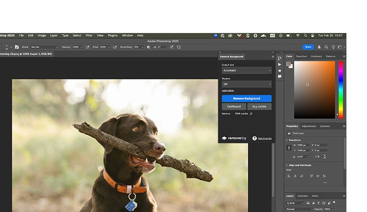 Adobe Photoshop 2025 İndir – Full v26.1.1 Türkçe (Win-Mac) ekran görüntüsü İndir - TecRelax Ücretsiz Yazılım