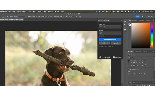 Adobe Photoshop 2025 İndir – Full v26.1.1 Türkçe (Win-Mac) ekran görüntüsü İndir - TecRelax Ücretsiz Yazılım